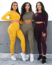Seamless Flow Gym Suit